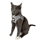 "The True Adventurer" Reflective Cat & Kitten Harness and Leash