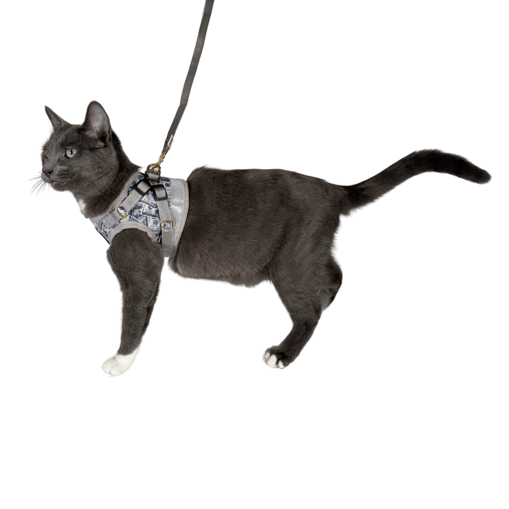 "The True Adventurer" Reflective Cat & Kitten Harness and Leash