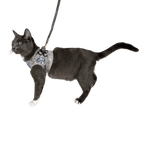 "The True Adventurer" Reflective Cat & Kitten Harness and Leash