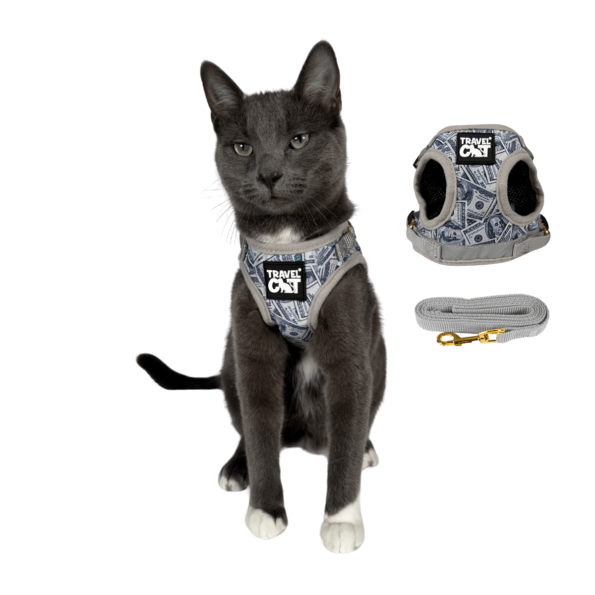 "The True Adventurer" Harness and Leash & "The Day Tripper" Harness & Bungee Leash Set