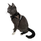 "The True Adventurer" Reflective Cat & Kitten Harness and Leash