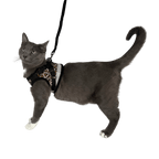 "The True Adventurer" Reflective Cat & Kitten Harness and Leash