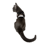 "The True Adventurer" Reflective Cat & Kitten Harness and Leash