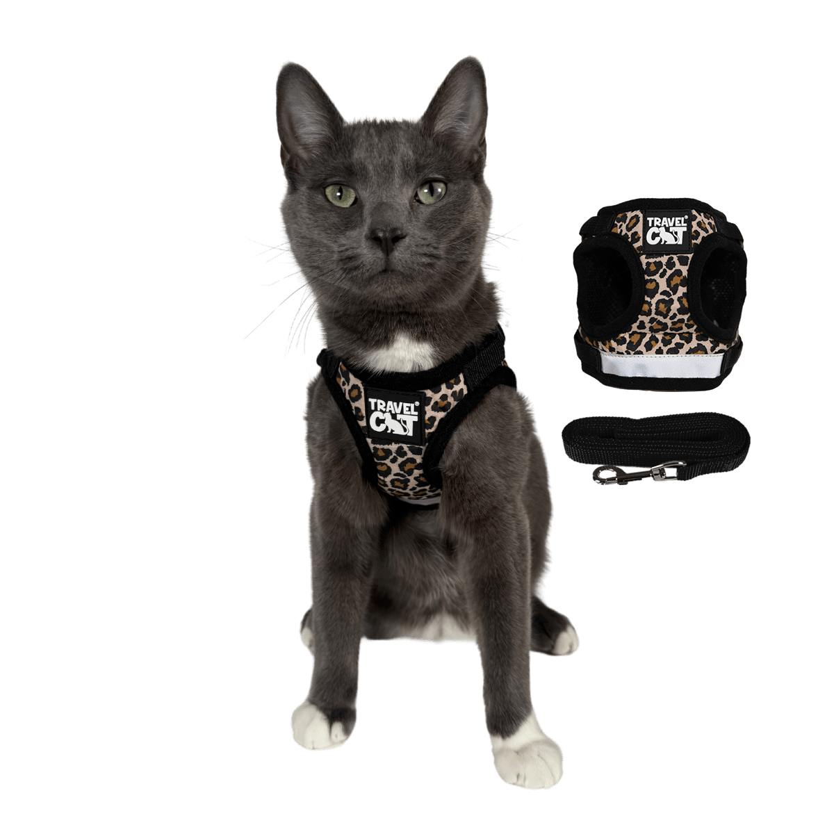 "The True Adventurer" Harness and Leash & "The Day Tripper" Harness & Bungee Leash Set
