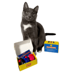 "The Good Kitty" Cat Clicker Training Set (3-Pack)