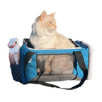 Feline Groovy Bundle