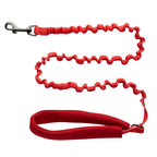 "The Day Tripper" Perfect Adjustable H-Style Cat Harness & Bungee Leash Set