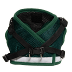 "The True Adventurer" Reflective Cat & Kitten Harness and Leash