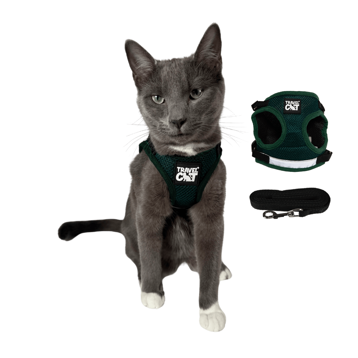"The True Adventurer" Harness and Leash & "The Day Tripper" Harness & Bungee Leash Set