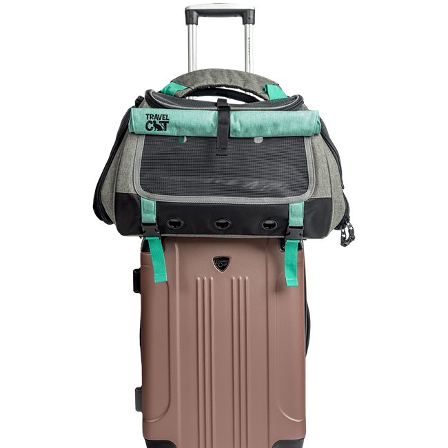 "The Transpurrter" Ultimate Calming Convertible Cat Carrier