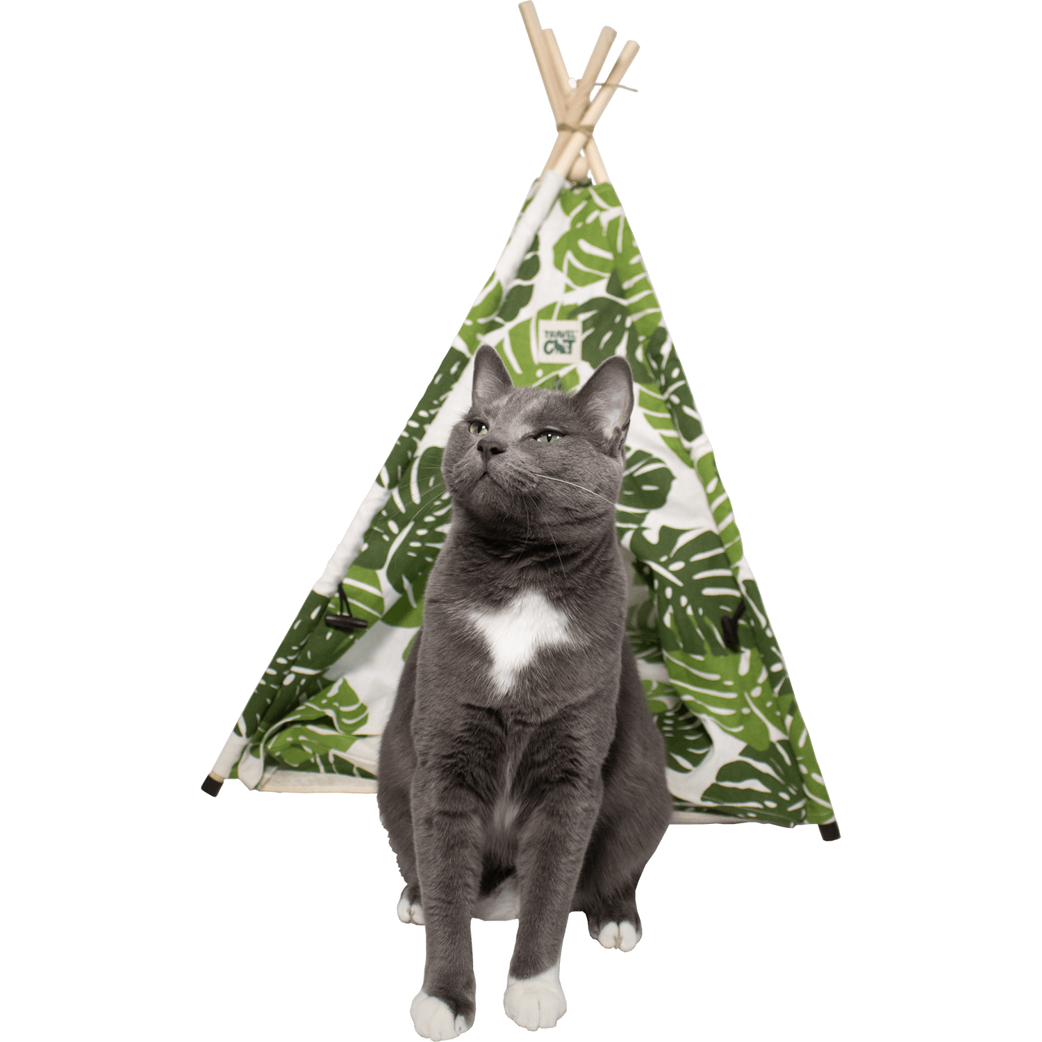 Monstera Cat Tent Bed
