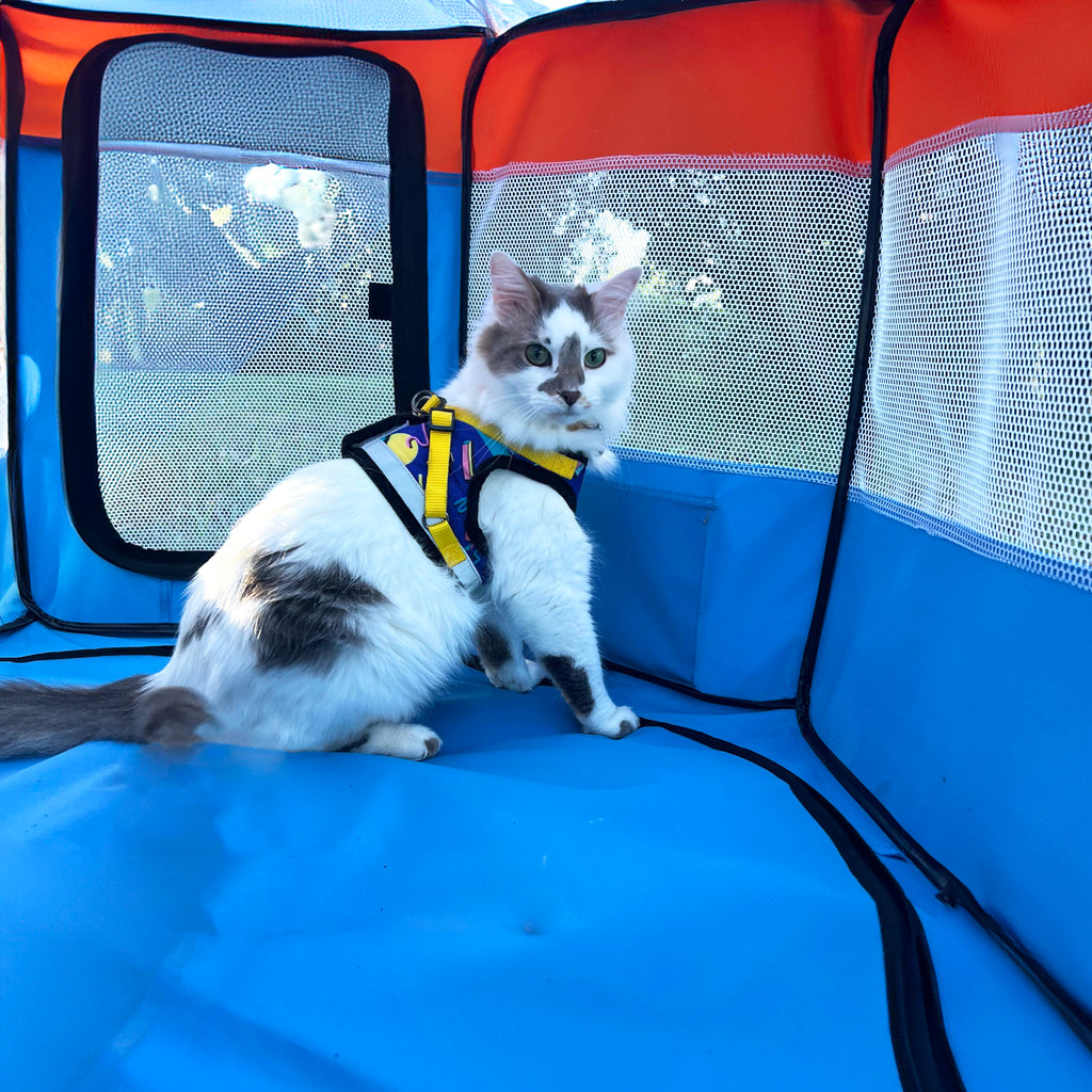 The Feline Fun House - Portable Cat Play Tent