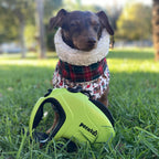 10m/32ft Retractable Dog Leash with Reflective Strips with  Poop Bag