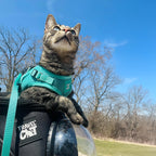 Jackson Galaxy x Travel Cat Complete Bundle