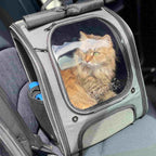 Bubble Cat Backpack Carrier Large Space Ergonomic 3D Design Breathable & Shaded