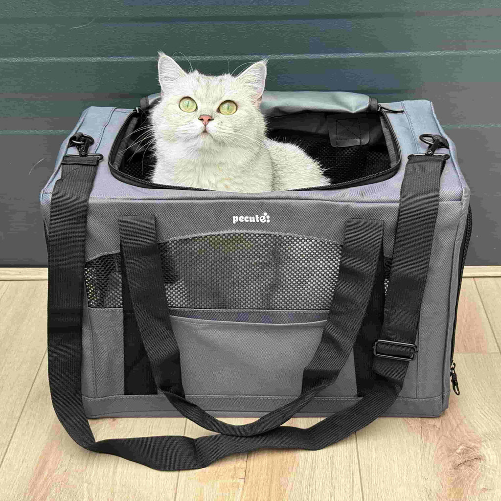 Cat Carrier Handbag Stable Breathable and Portable for Travel and Outing