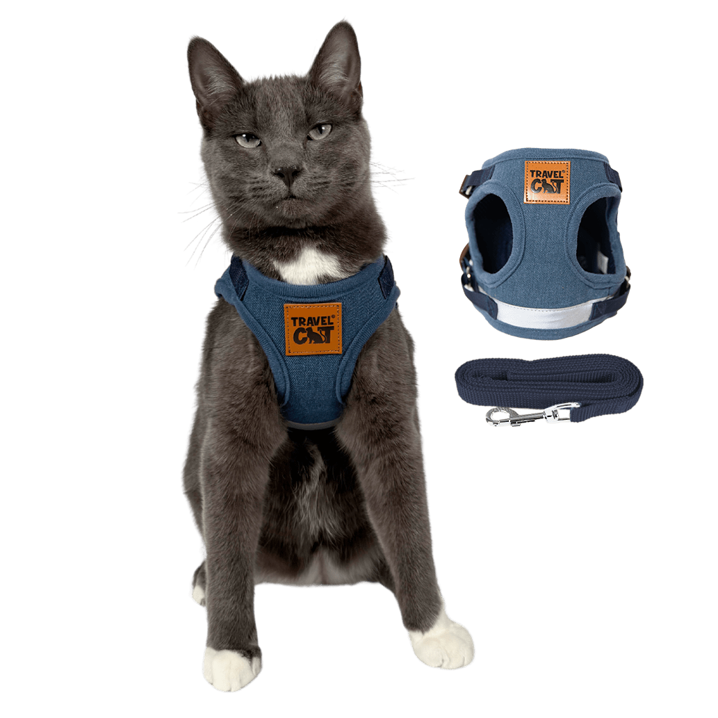"The True Adventurer" Harness and Leash & "The Day Tripper" Harness & Bungee Leash Set