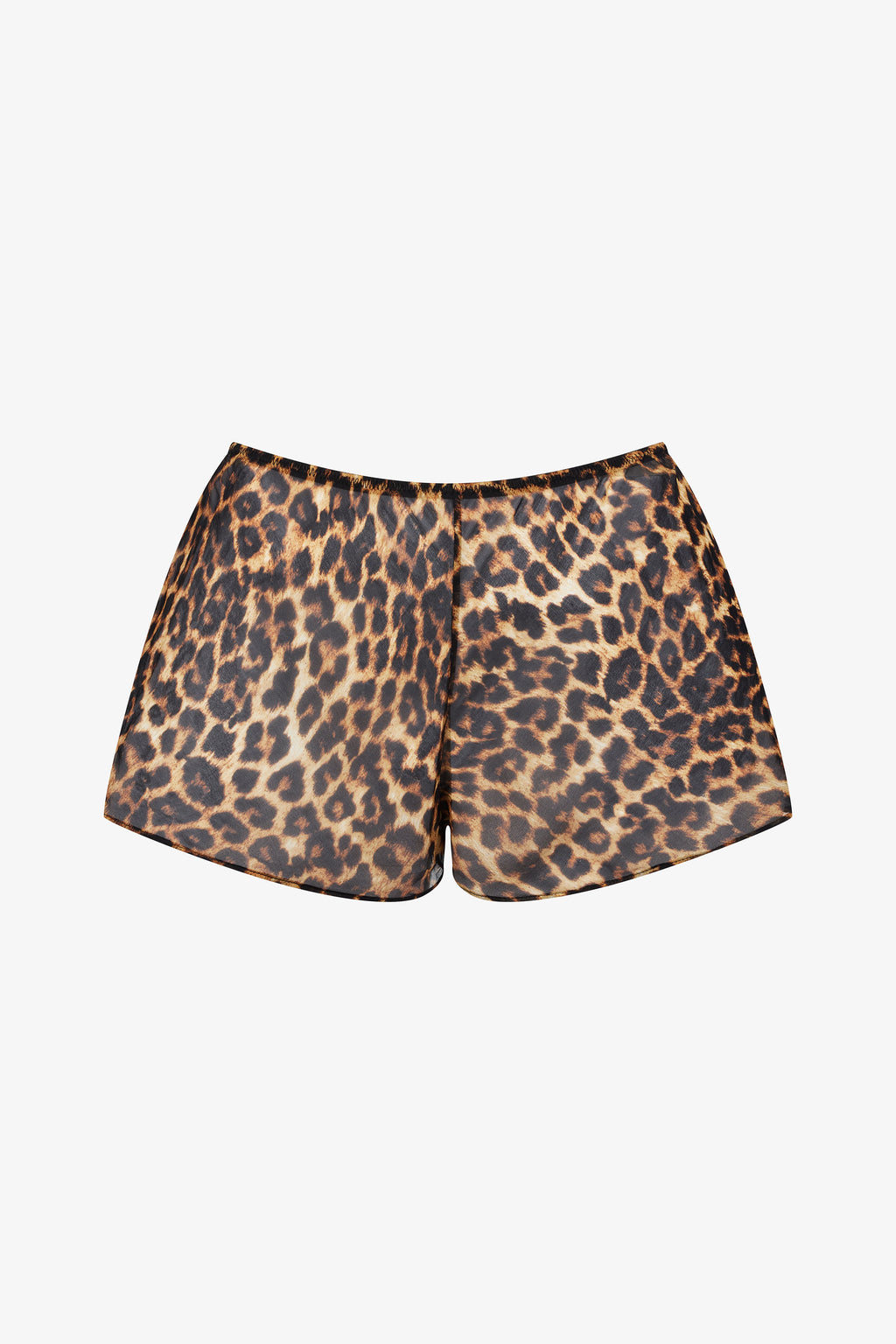 Short - Safari