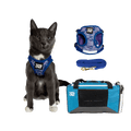 Feline Groovy Bundle