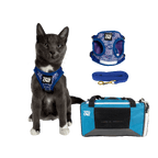 Feline Groovy Bundle