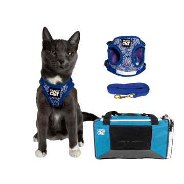 Feline Groovy Bundle