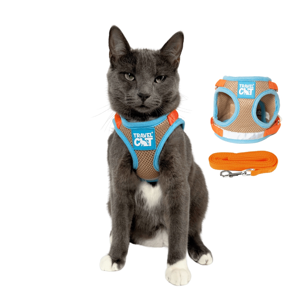 "The True Adventurer" Harness and Leash & "The Day Tripper" Harness & Bungee Leash Set