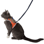"The Pathfinder" Cat Harness & Tractive Cat GPS & Health Tracker Bundle