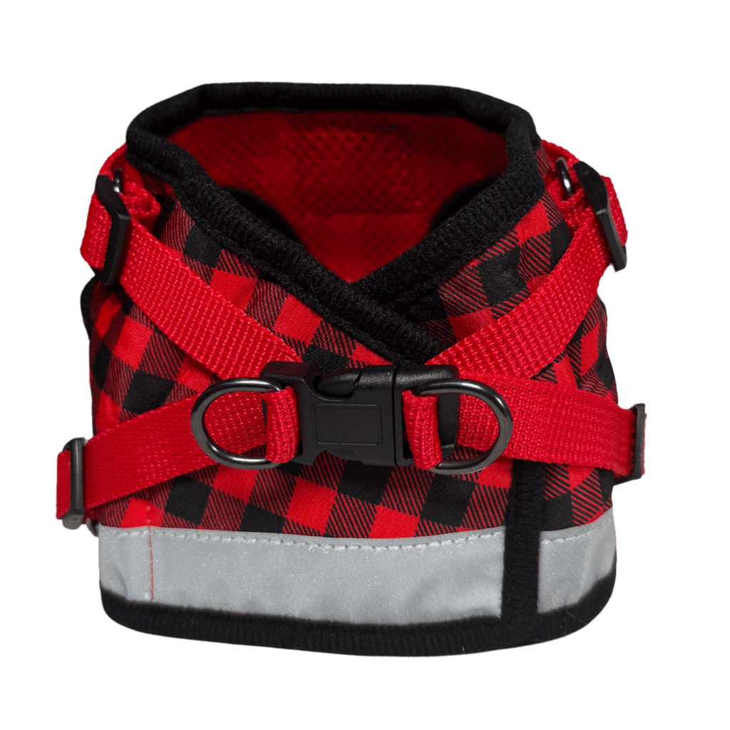 "The True Adventurer" Reflective Cat & Kitten Harness and Leash