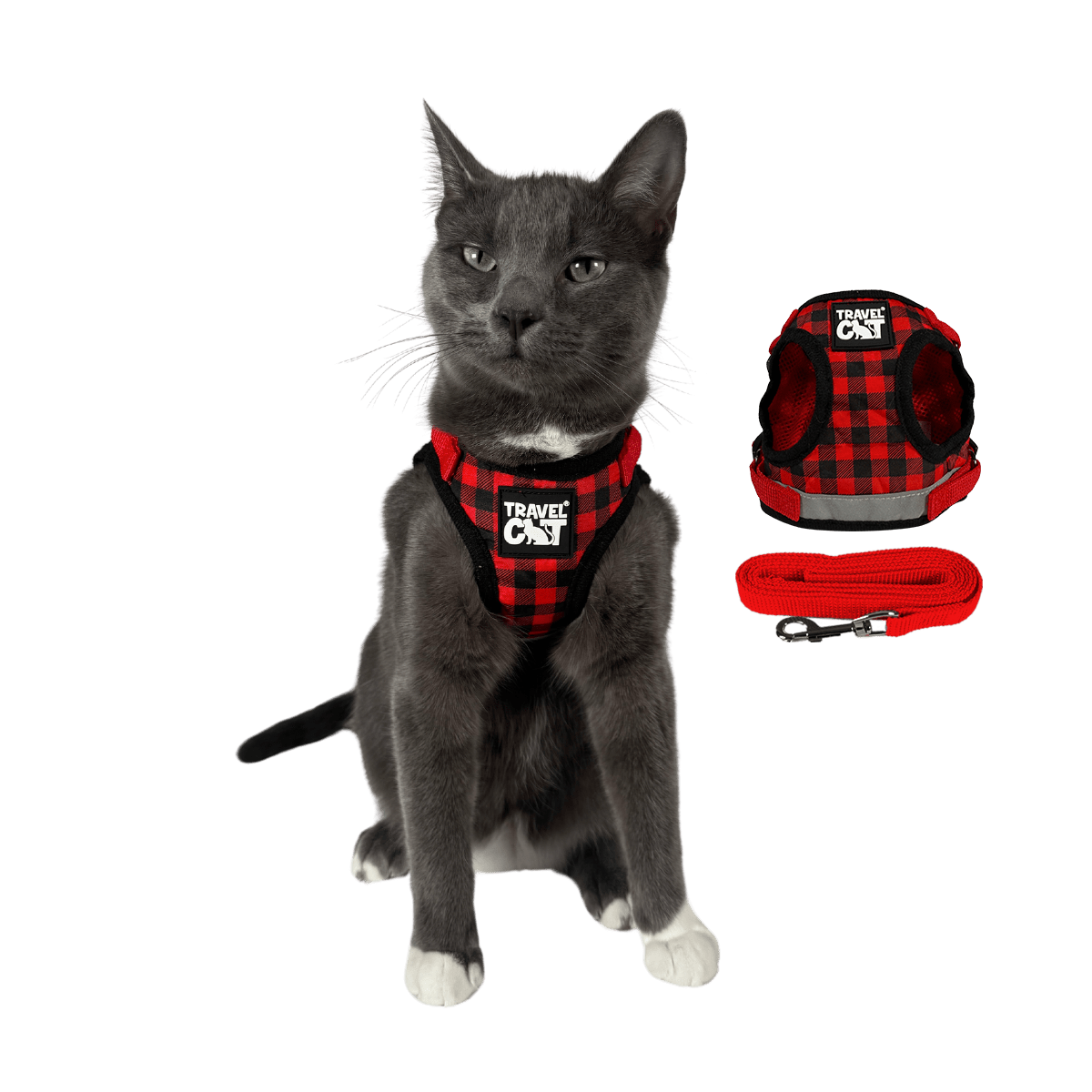 "The True Adventurer" Harness and Leash & "The Day Tripper" Harness & Bungee Leash Set