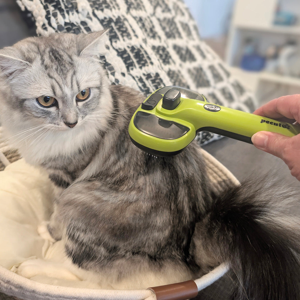 Steam Cat Brush Self-Cleaning Grooming with 2 Water Spray Modes