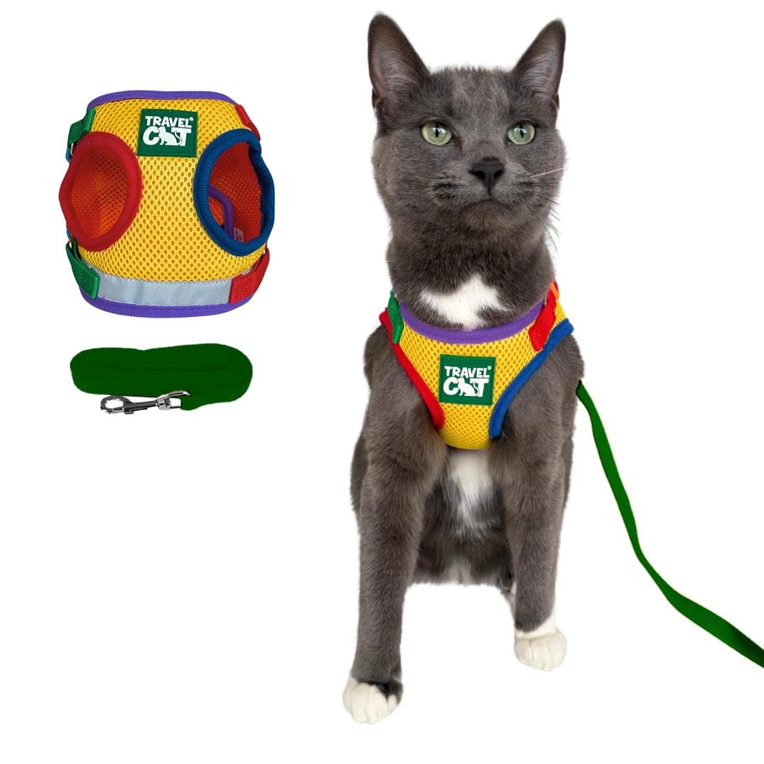 "The True Adventurer" Harness and Leash & "The Day Tripper" Harness & Bungee Leash Set