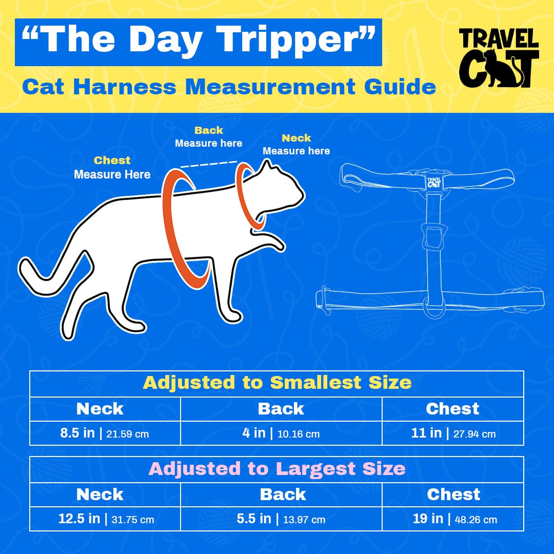 "The True Adventurer" Harness and Leash & "The Day Tripper" Harness & Bungee Leash Set