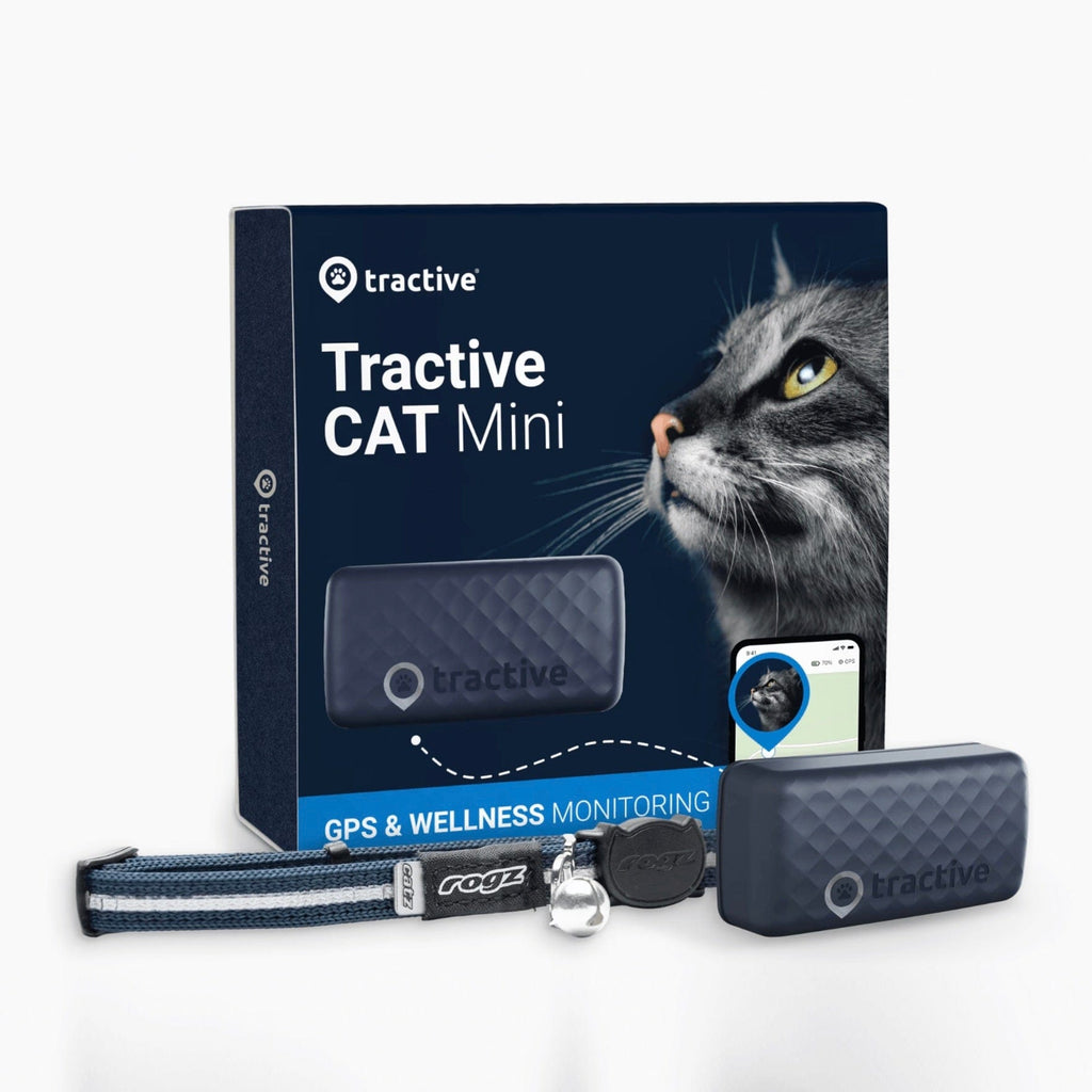 GPS & Health Tracker