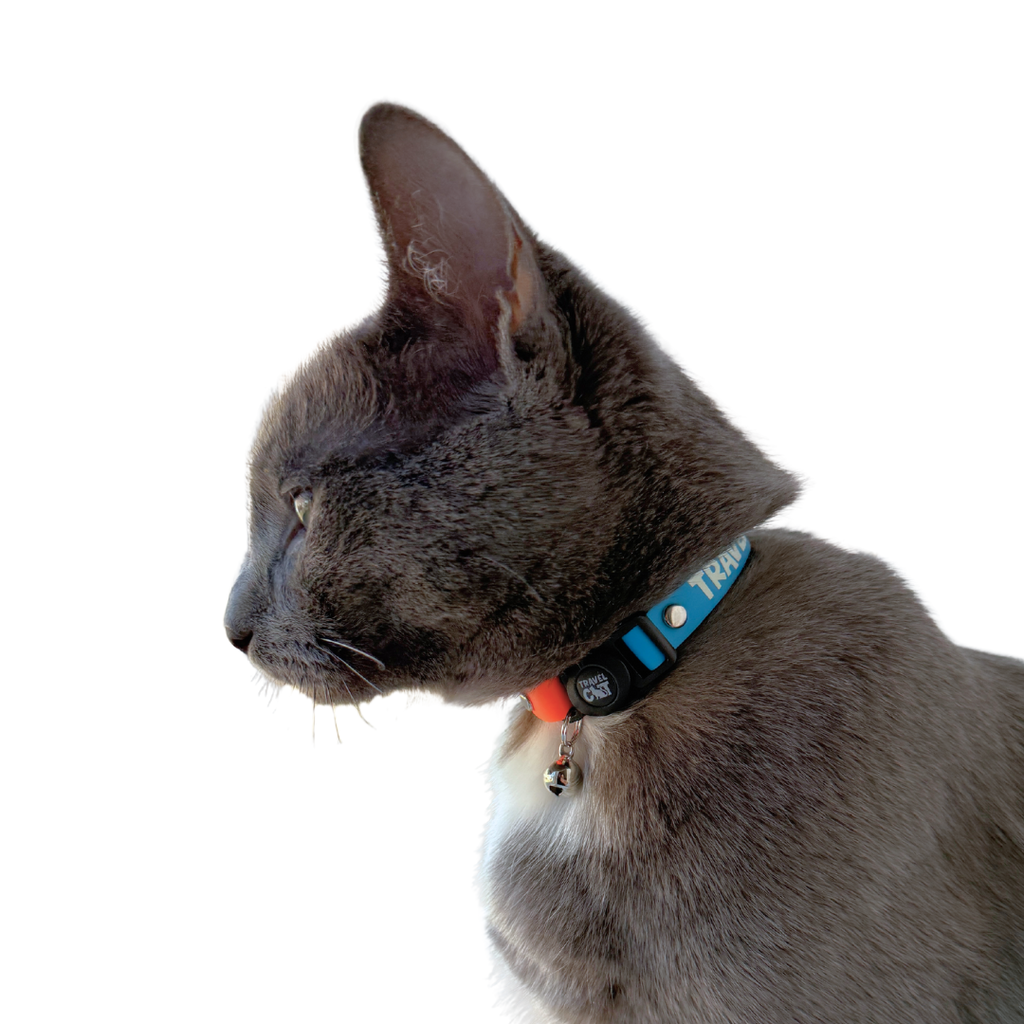 “The Travel Cat” Breakaway Cat Collar