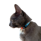 “The Travel Cat” Breakaway Cat Collar