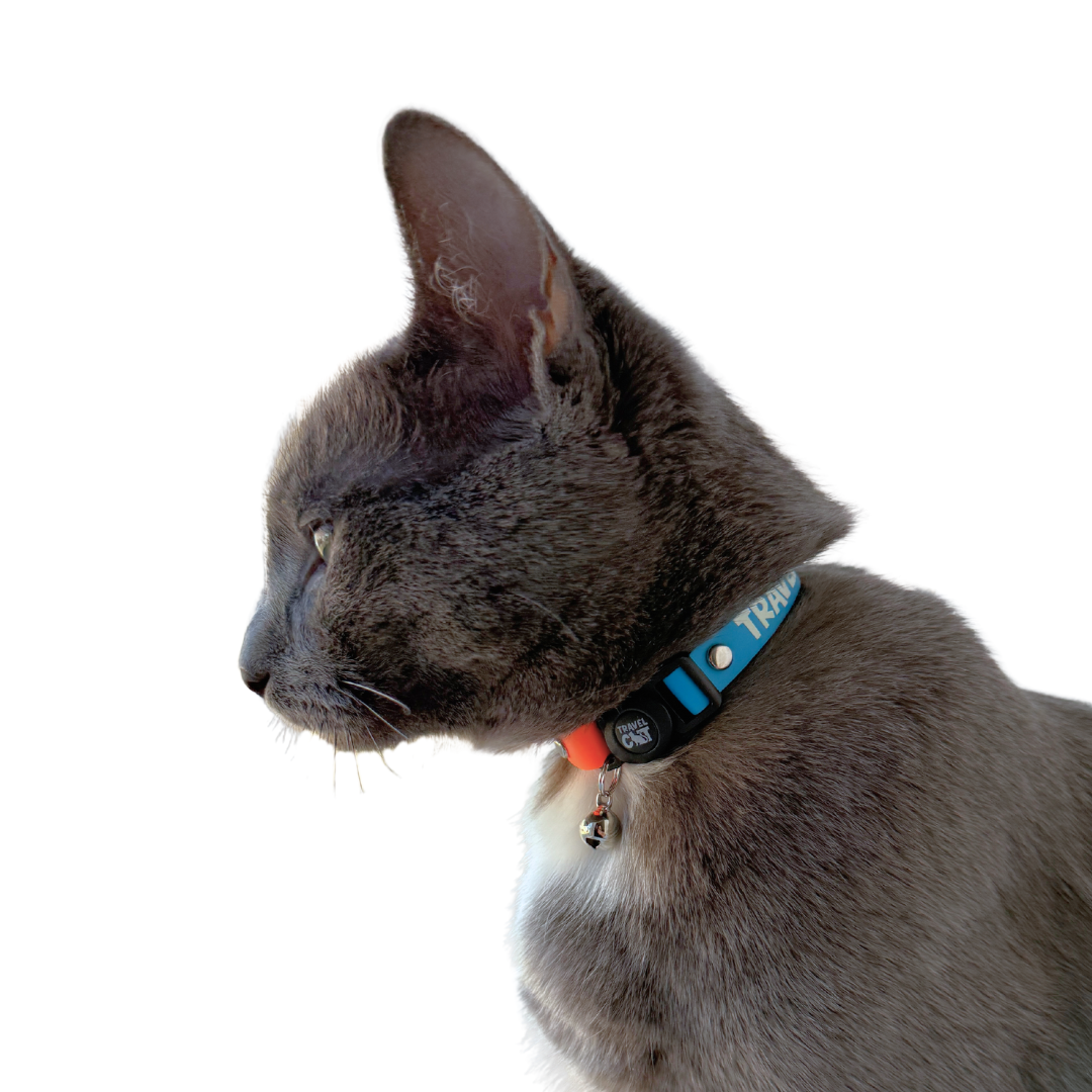 “The Travel Cat” Breakaway Cat Collar