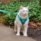 Jackson Galaxy x Travel Cat Complete Bundle