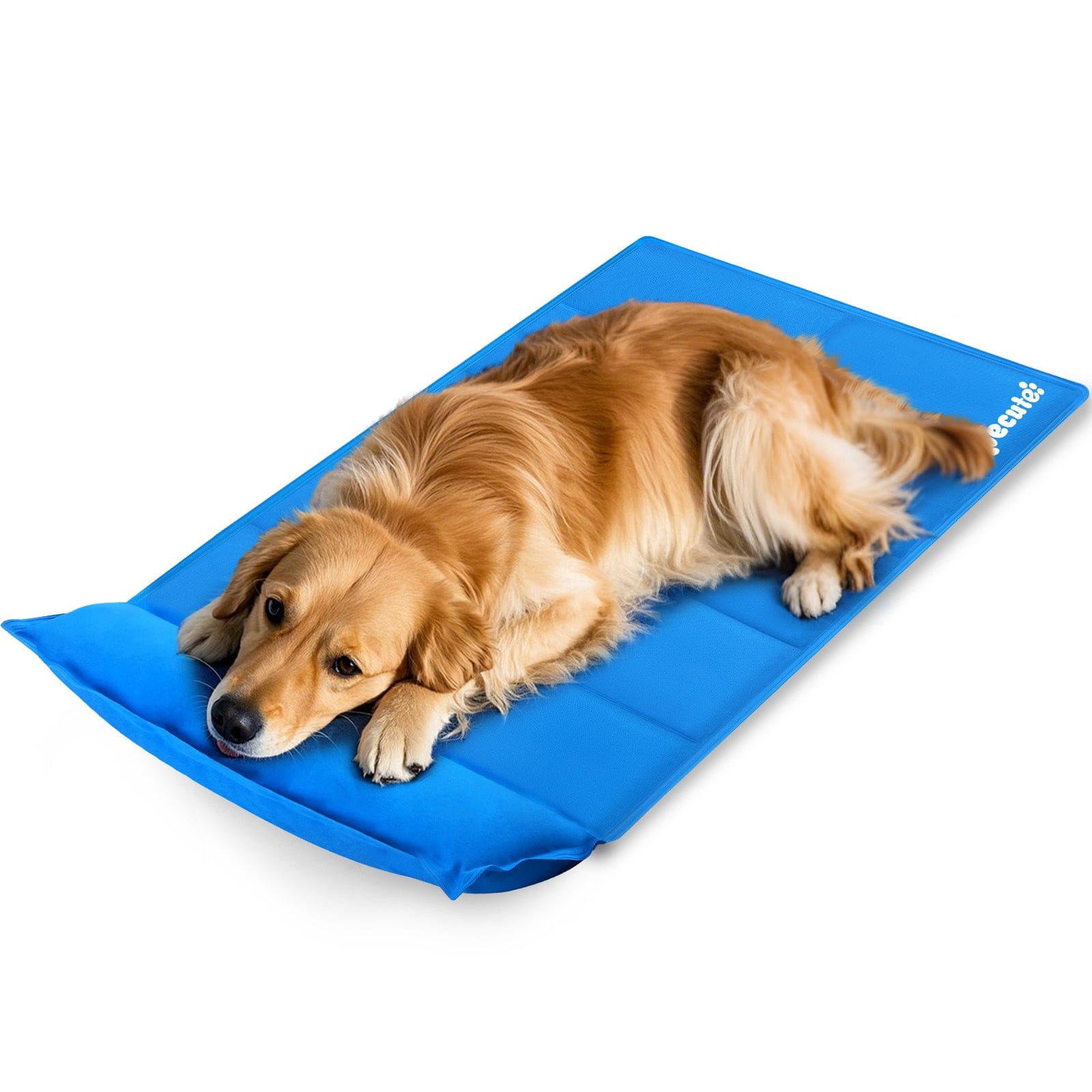 M-XL Dog Cooling Mat with Pillow