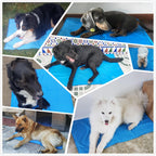XS-XXL Dog Cooling Mat Blue