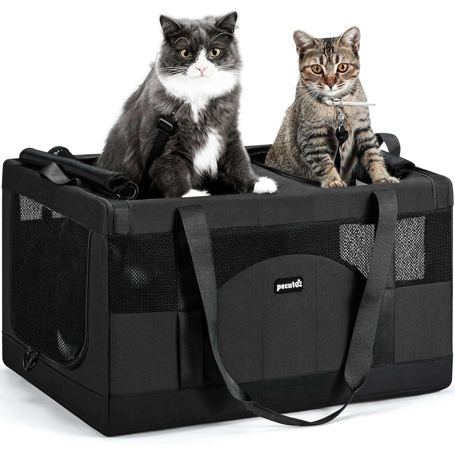 Cat Dual-Compartment Frame Handbag