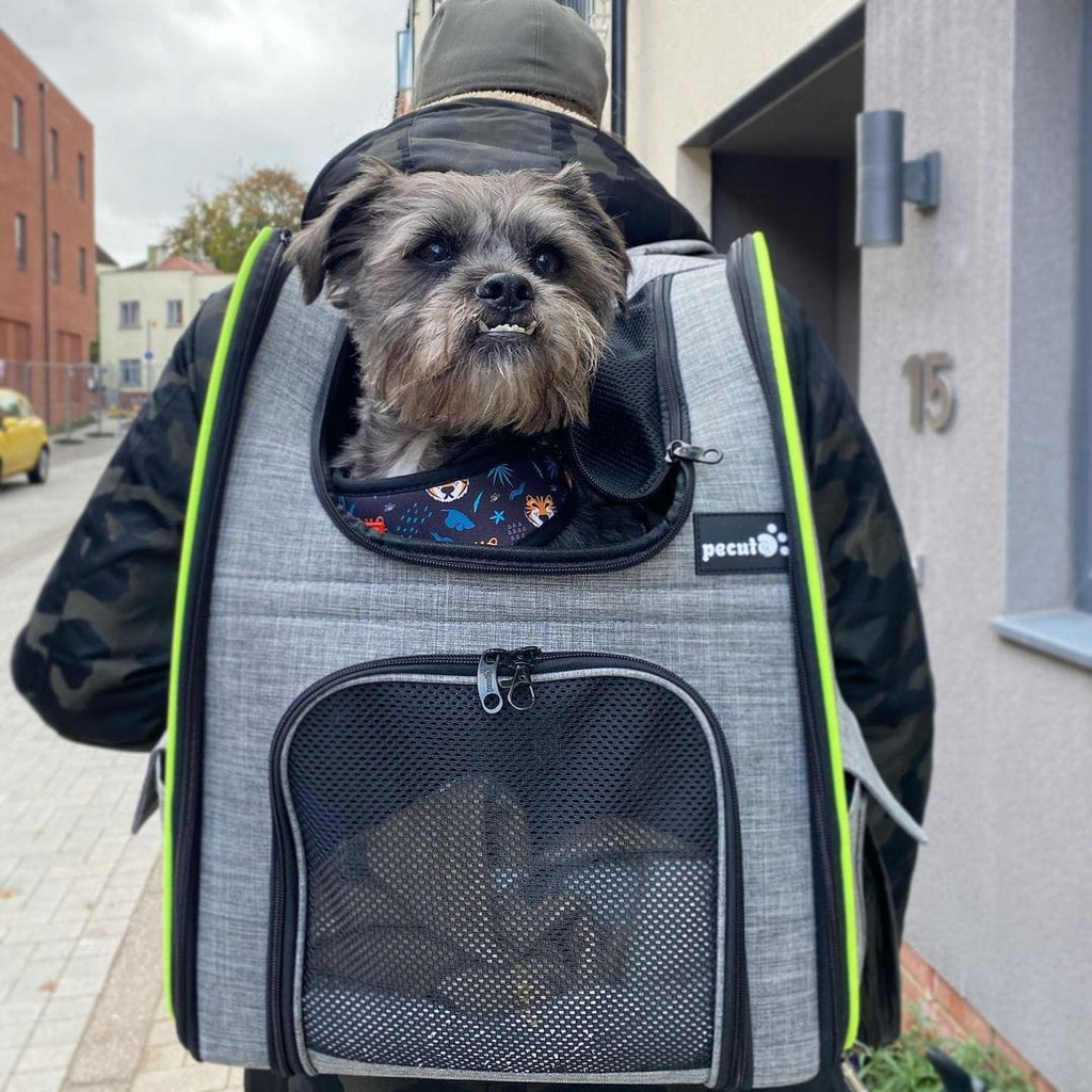 Cat Carrier Dog Backpack Expandable (Grey) - As Seen on TV