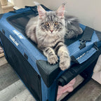 "The Boop Coop" Collapsible Travel Cat Crate & Carrier