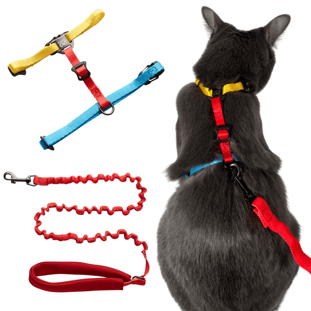 Fat Cat & Day Tripper Bundle