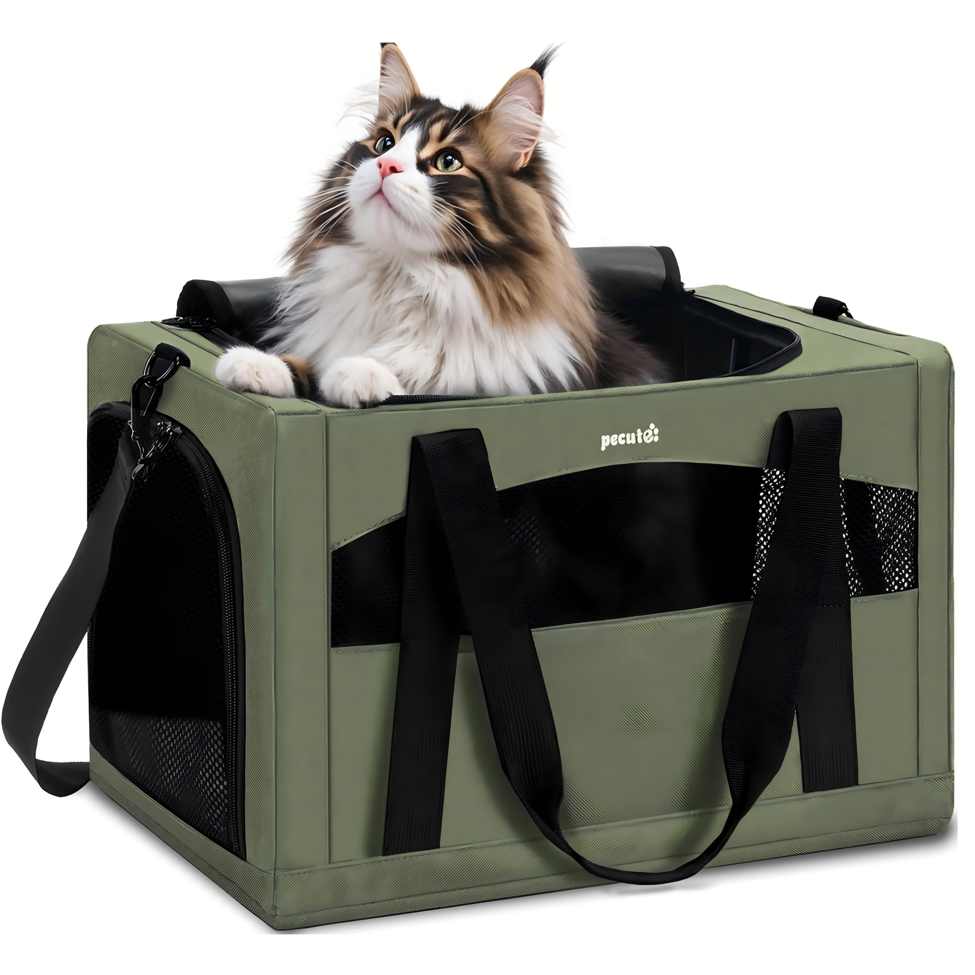 Cat Carrier Handbag Stable Breathable and Portable for Travel and Outing