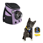 Build Your Own Cat Backpack and Harness Bundle