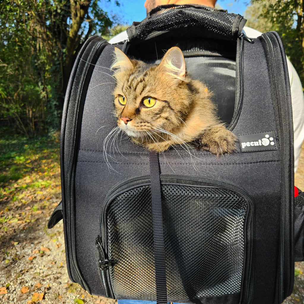 Cat Carrier Dog Backpack Expandable（Black）