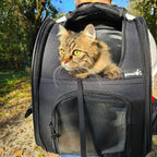 Cat Carrier Dog Backpack Expandable（Black）