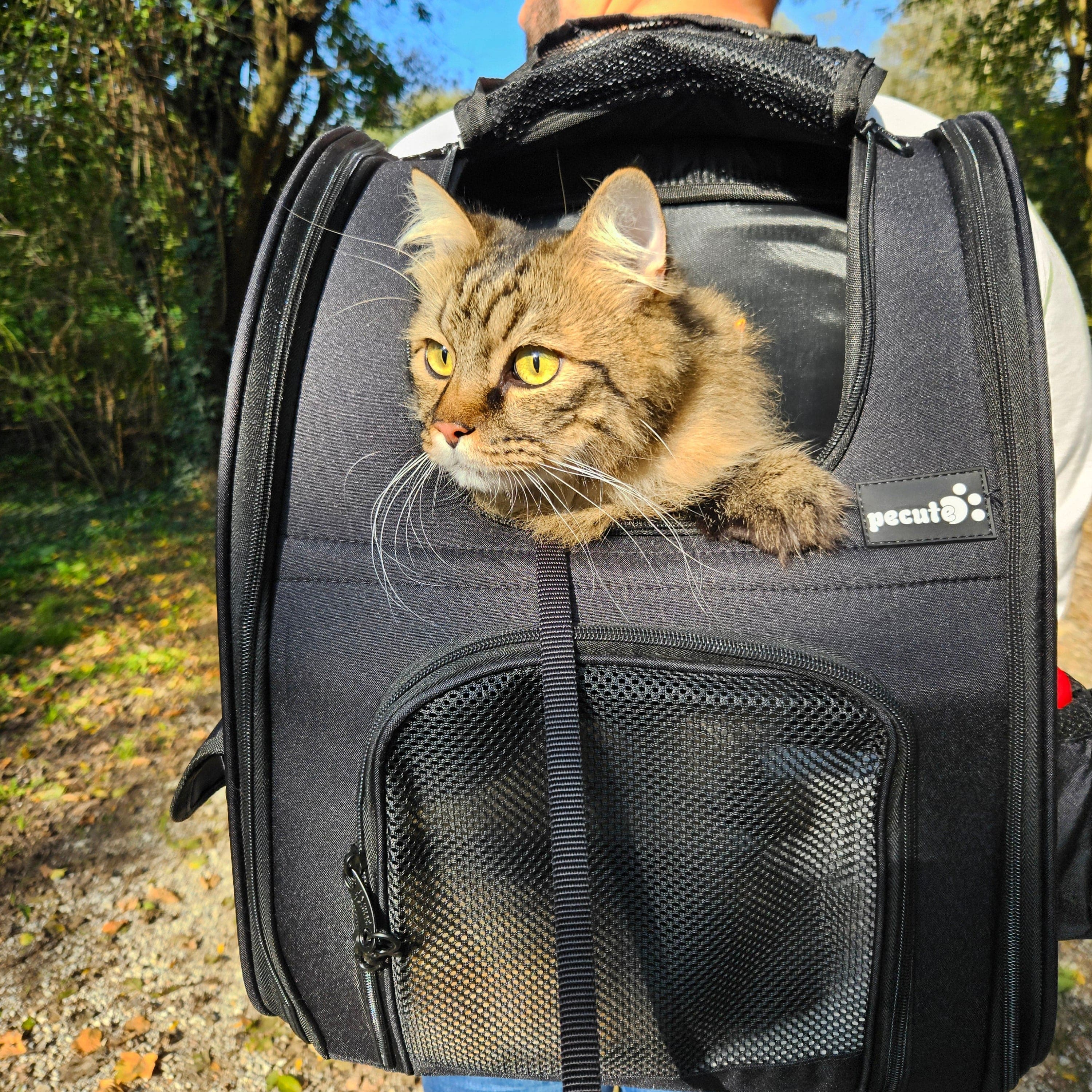 Cat Carrier Dog Backpack Expandable（Black）