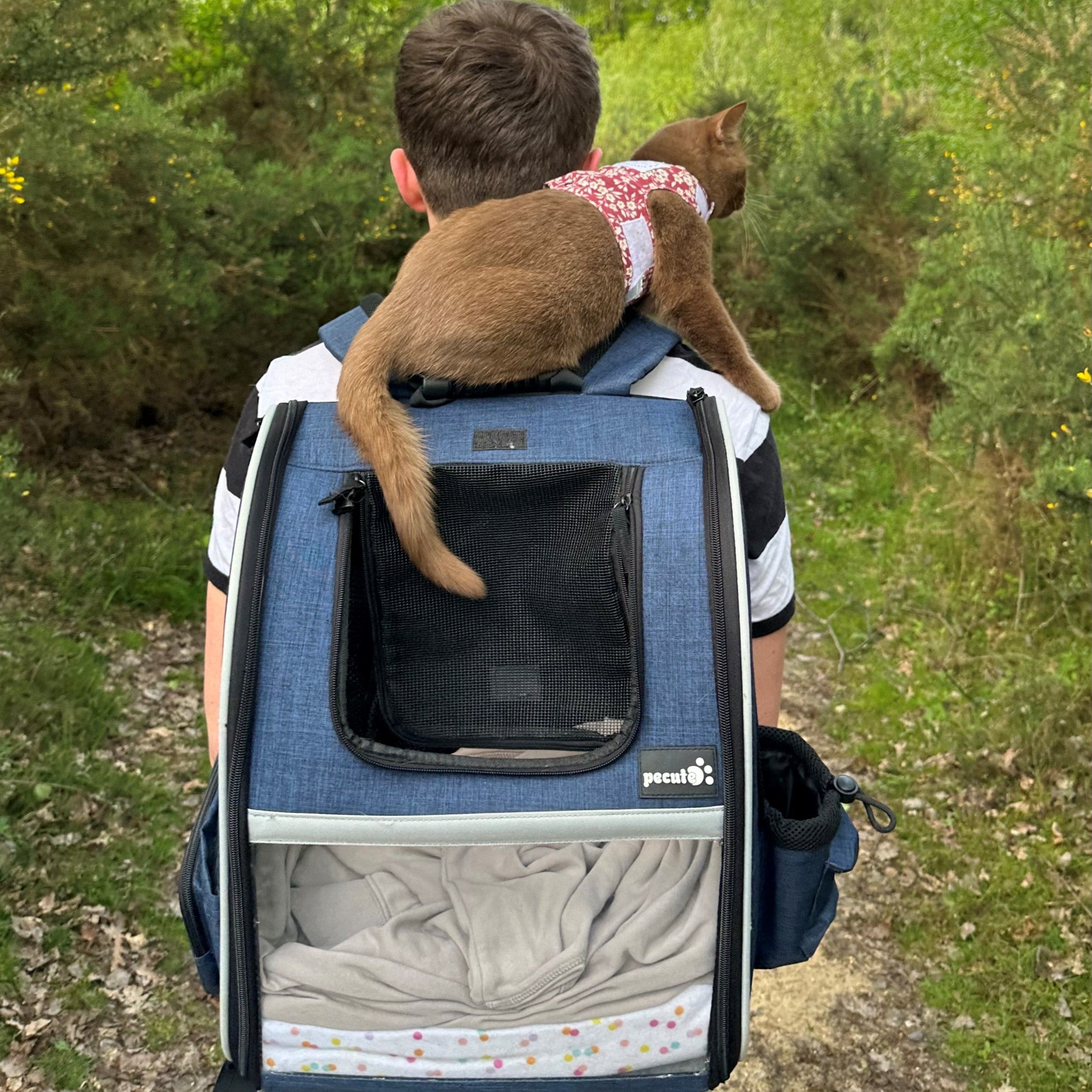 Portable Breathable Rucksack Pet Carrier Backpack