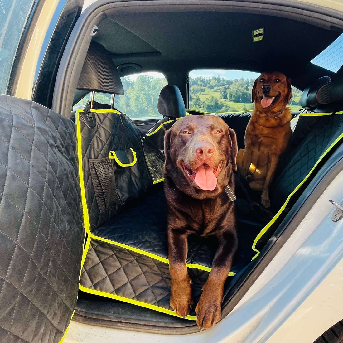 Full Surrounded Dog Car Seat Cover for Back Seat, Car Window Fixing for Maximum Car Protection